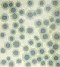 plops, 1999, Inkjettinte auf Reispapier