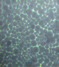 plops, 1999, Inkjettinte auf Reispapier