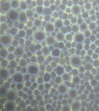 plops, 1999, Inkjettinte auf Reispapier